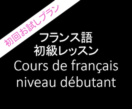初回お試し：初級フランス語レッスン致します フランス人を嫁に持つ日本人によるフランス語の初心者向レッスン イメージ1