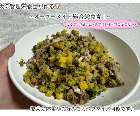 犬の管理栄養士が愛犬のオリジナルレシピを考えます 体重や好みに合わせて、世界に一つのレシピをお作りします♪ イメージ1
