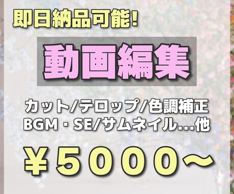 即日納品可能！YouTube動画の編集作業承ります 丁寧に仕上げます。ご相談だけでも大歓迎です！ イメージ1