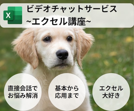 早朝限定☀︎仕事で使えるExcelの操作教えます 「基本的なことから実践的なことまで直接相談可能です！」 イメージ1