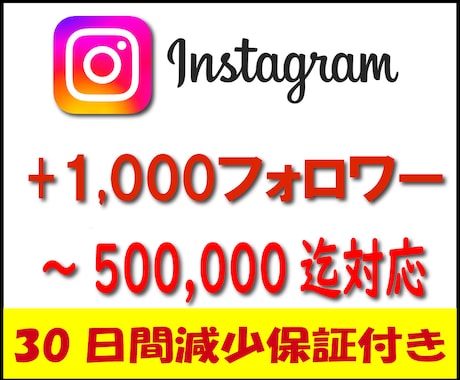 Instagramフォロワー1,000人増加します ⚡ココナラ最速・最安値を目指します⚡30日間減少保証付き⚡ イメージ1