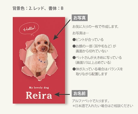 写真入り犬猫ペット名刺 色と書体が選べます スマホ撮影でOK! デザイナーへのセミオーダー100枚送料込 イメージ2