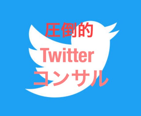 徹底的にTwitterコンサル致します 1日2ツイート以下でフォロワー激増⁉︎SNS集客の極意★ イメージ1