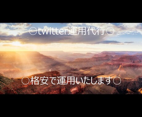 企業さん！！格安でtwitter運用いたします ターゲットに【いいね】【RT】等こちらで代行します！ イメージ1
