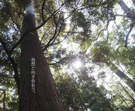 心と体の巡りのバランスを整えて『開運』を促します 開運の為の心身の整え方を『美の専門家』が教えます。 イメージ2