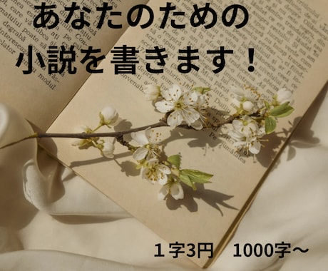 あなたのための小説を書きます 創作キャラの二次創作、活動者さん向けの朗読作品など！ イメージ1