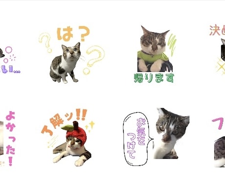 可愛い飼い猫のオリジナルLINEスタンプ作成します ご家族でのご利用や職場の看板猫などお好きなワードで作成！ イメージ2