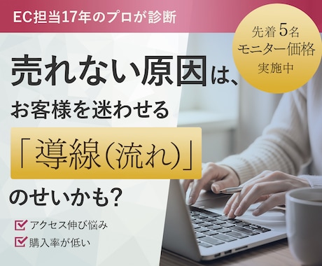 EC歴17年｜店舗の課題と「改善点」を特定します 楽天・Yahoo・自社ECサイト対応！EC診断 イメージ1