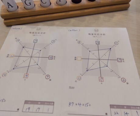 体質分析個別セッションをします 〜体験だけで終わらせない。『使える』に変えるステップ〜 イメージ2