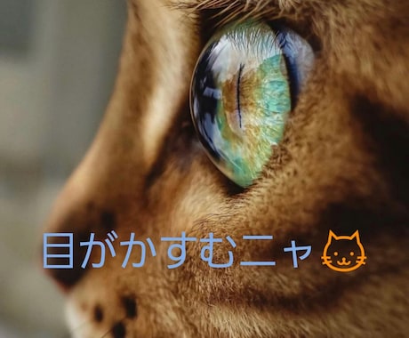 目の疲れに強力波動！3日間で視界がクリアになります 疲れ目に心地よい癒しの波動を与え、眼精疲労を撃退！ イメージ2