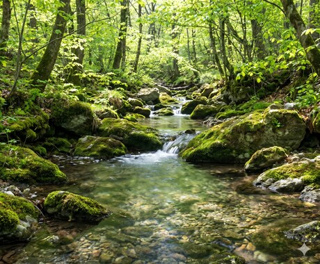 どうやったら幸せになれるの？冷めた心を温めます 家族の問題/職場人間関係/パートナーシップ/友人知人関係など イメージ2