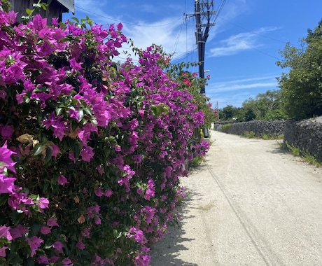石垣島の旅行おすすめ教えます 移住経験有だからこそのおすすめのお店やポイント教えます! イメージ2