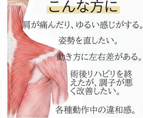 鍛える前に整える。動作評価から身体を再設計します 国際資格からの評価に基づく個別設計セッション イメージ2
