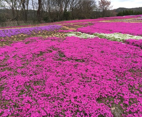 面接対策！あなたの志望理由書に質問します 受験、就職などの志望理由書などに質問、内容の添削します！ イメージ1