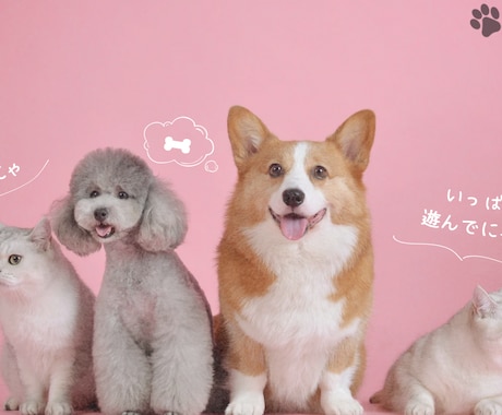 あなたとペットの笑顔のために癒しをお届け致します 愛するペットとの絆を深め、心と心を繋ぎ愛を育むヒーリング イメージ1