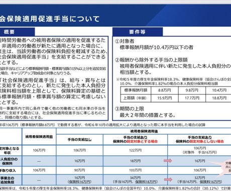 社労士が社会保険適用促進コースについて解説します キャリアアップ助成金いわゆる106万円の壁新コース説明します イメージ1