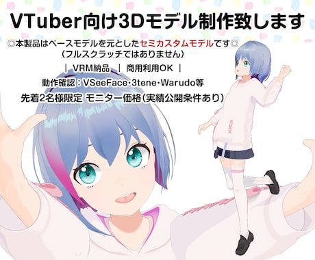 セミカスタム：VTuber向け3Dモデル制作します リーズナブルに3Dデビュー！丁寧にサポートします イメージ1