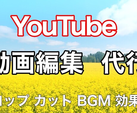 返金保証☆YouTube動画編集します 編集に満足頂けない場合は、全額返金いたします！ イメージ1