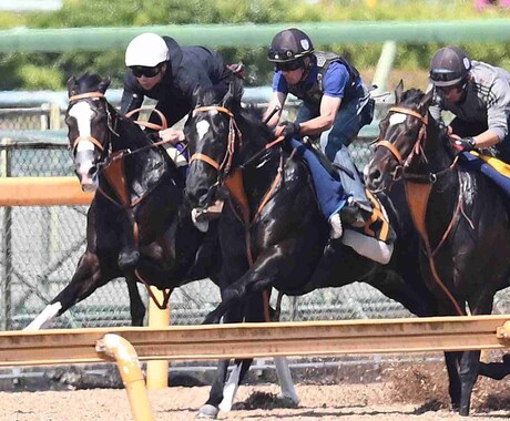 競馬予想！オッズや人気不要！初心者歓迎いたします 週末は穴馬⁂実力馬をあぶりだしてで勝ち組になれる イメージ1