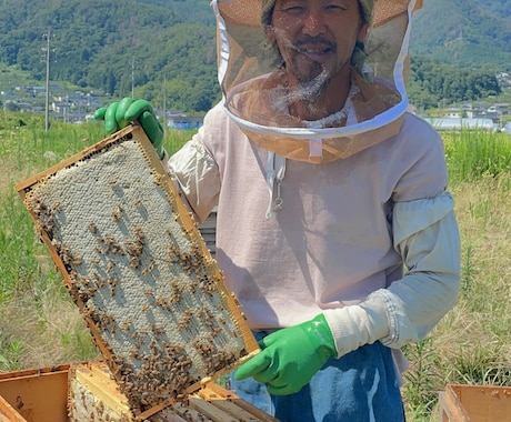 養蜂に挑戦したい！！西洋蜜蜂☆自然養蜂教えます 養蜂の始め方、副業にしたい方、蜜蜂や蜂蜜が好きな方☆ イメージ1