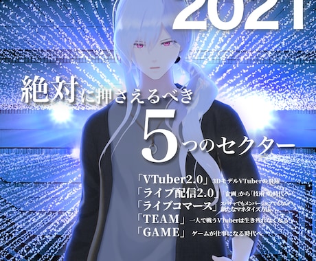 バーチャルYouTuberのアドバイスを行います VTuberの専門家があなたのお悩みを解決 イメージ2