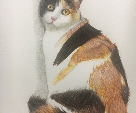ペットの絵かきます イメージ1