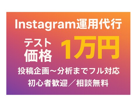 Instagramの運用代行をします 集客やPR、規模拡大のためのお手伝いをさせてください。 イメージ1