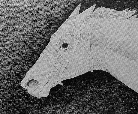 馬の鉛筆モノクロアイコン描きます 写真から制作｜繊細な鉛筆タッチ・モノクロ＋差し色対応 イメージ2