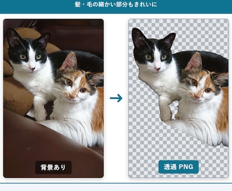 背景透過・切り抜き・一括リサイズ代行します 商品画像の背景透過・サイズ統一を一括。無料サンプル1枚OK イメージ2