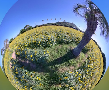 360°カメラで施設を撮影します 店舗の店内や魅力を360°ビューでお届けします！ イメージ2