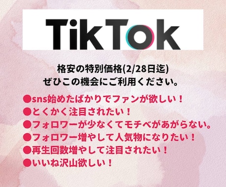 TikTokのフォロワー+1000人増加します TikTokフォロワー拡散！1000人増加します！ イメージ1