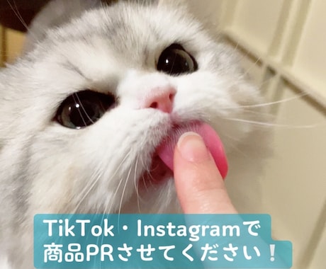 猫のInstagramでかわいくPRいたします フォロワー1000人超アカウントで御社の商品をPRします！ イメージ1
