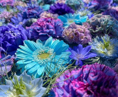 お花・植物・自然の写真提供します 色鮮やかなお写真多めに提供します イメージ2