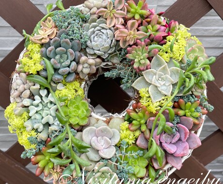 多肉植物の寄せ植えお作りします 多肉植物の専門家があなたにピッタリの寄せ植えをお作りします イメージ2