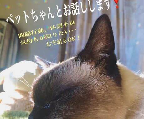 ペットちゃんと飼い主さんの心の架け橋をします 〝問題行動〟〝心配なこと〟の原因を知って解消しませんか？ イメージ1