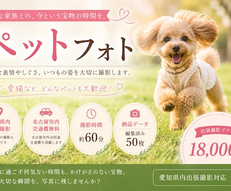 自然な表情を大切に愛犬・ペットを撮影いたします 大切な家族との、今という宝物を写真に。 イメージ1