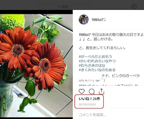 インスタグラムでコツコツフォロワーを増やせます いいね！がなかなか増えないとお悩みのあなたへ イメージ2