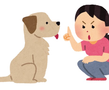 ドッグトレーナーが教えます 愛犬のしつけや問題行動にお困りの方♩ イメージ1