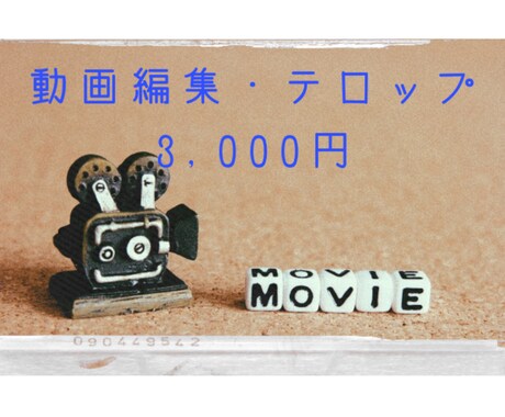 動画編集・テロップの打ち込みします カット編集、テロップの面倒な打ち込み代行します。 イメージ1