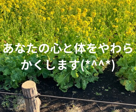 1分からOK！気分変調性障害当事者が寄り添います 症状/うつ病との違い/双極性障害との違い/悩み/不安 イメージ2
