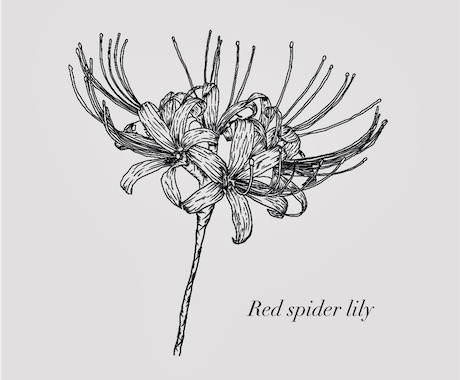 花をテーマにした繊細な絵を作ります 日常にそっと彩りを添える、花のアート イメージ2