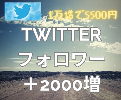 Twitterフォロワーを＋2000以上増やします 【早期納品】1万フォロワー増で合計5500円(オプション有) イメージ1