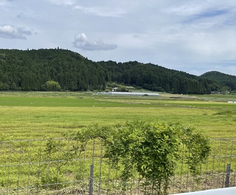 愚痴聞きます なんでもいいから愚痴ってください イメージ1