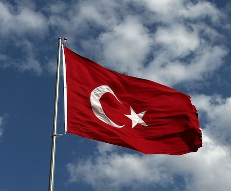 トルコ語⇄日本語　自然な翻訳を迅速に提供します 留学経験を活かした自然な表現が強み イメージ1
