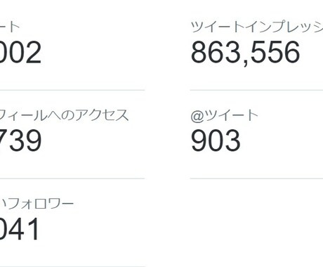 あなたのツイッター1ヶ月間徹底的にコンサルします インプレッション・フォロワー増 イメージ1