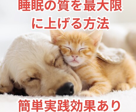 睡眠の質を最大限に上げる方法をお伝えします 睡眠の質改善鍼灸整体師睡眠コンサルタントが教えます イメージ1