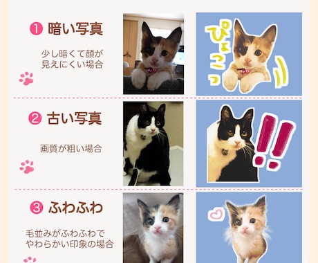 ゆるゆる「うちのこ」LINEスタンプ作成します 飼い主の口癖やペットのお気に入り写真をスタンプに◎ イメージ2
