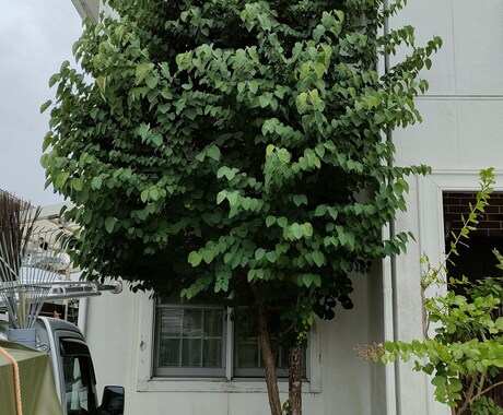 会社員が副業庭師として独立するまでを教えます 週末のみでも庭師として独立するまでの実録を語ります イメージ1