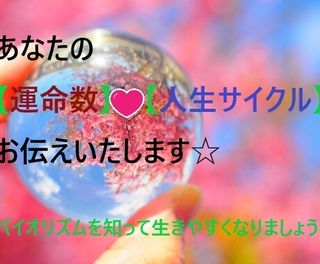 あなたの【運命数】【人生サイクル】をお伝え致します 数秘術で円滑で運気の良い1年の過し方を♥➕オラクルでお伝え☆ イメージ1