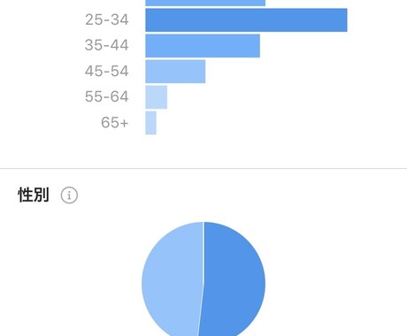 訪日外国人向けにインスタグラムで宣伝します 2万9000人の訪日外国人向け広告製作 イメージ2